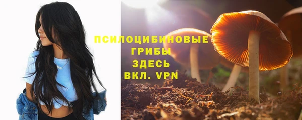spice Лагань