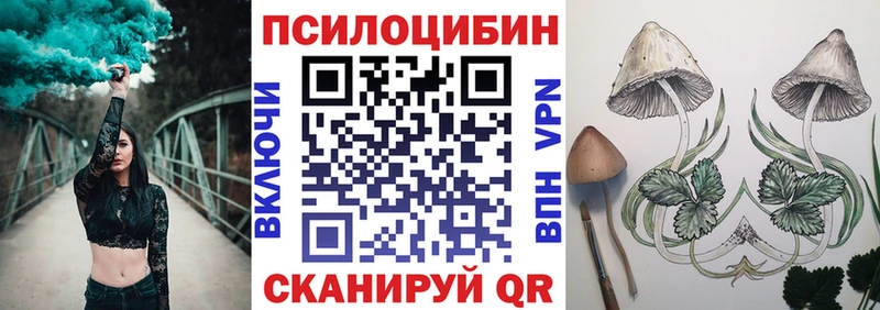 гидра зеркало  где можно купить наркотик  Солигалич  Галлюциногенные грибы MAGIC MUSHROOMS 